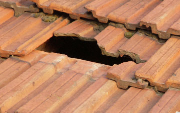 roof repair Lower Mains, Clackmannanshire