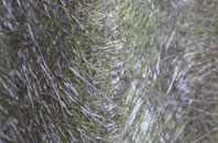 Lower Mains fibreglass roof work