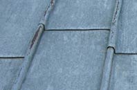 find rated Lower Mains lead roofing companies